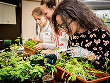 Photo of students with plants. Link to Life Stage Gift Planner Ages 60-70 Situations.